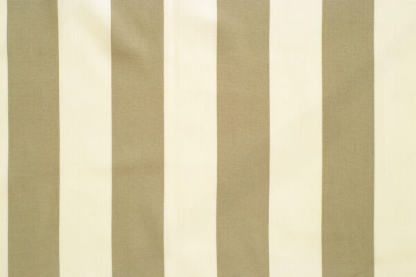 4904-17 Safari Stripe